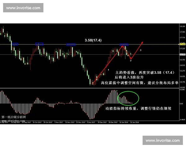 多项核心指标全面跃升数据亮眼彰显高质量发展强劲动能持续释放潜力
