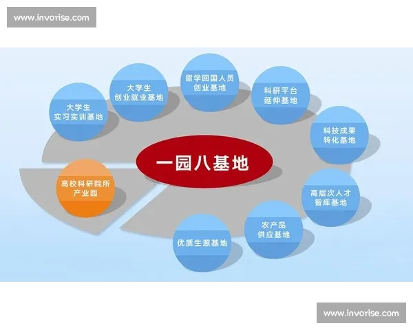 以人才引进为引擎推动高质量发展与城市竞争力跃升行动方案总体